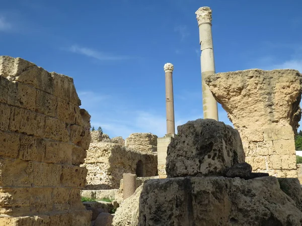 カルタゴ カルタゴの首都カルタゴ 古代文明の遺跡します ユネスコ世界遺産 チュニス チュニジア — ストック写真