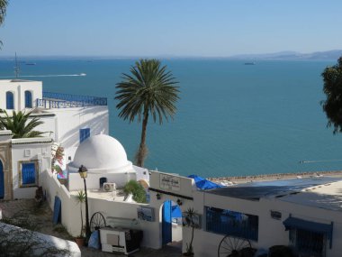 Sidi Bou Said, ünlüsü köyü geleneksel Tunus mimariye sahip. Beyaz duvarları, mavi panjurlar ve çatılar