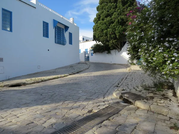 Sidi Bou Said Famoso Pueblo Con Arquitectura Tradicional Tunecina Paredes — Foto de Stock