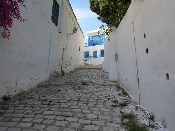 Sidi Bou Said Famoso Villaggio Con Architettura Tradizionale Tunisina Pareti — Foto Stock