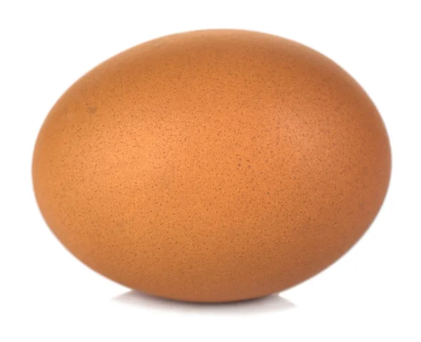 Κοντινό Πλάνο Αυγού Που Απομονώνεται Λευκό Φόντο — Φωτογραφία Αρχείου