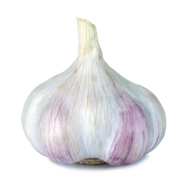 Fresh garlic head isolated on a white background with clipping path — Stock Photo, Image