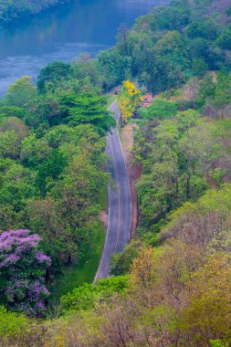 Sonbaharda kuş bakışı asfalt yolun üst, huzur mevsimlik manzara nehir ile karışık ve yaprak döken forrest