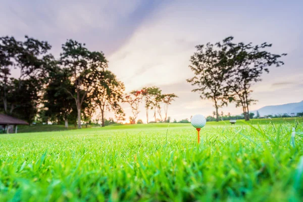 golf ball on tee at 1st hole tee off with blur green grass foreground and blur colorful sky with silhouette trees background during sunrise, Thailand