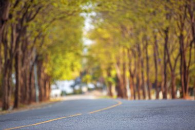 Out odak Bulanıklık ağaçların tünel arasında keskin eğri yol tekniği