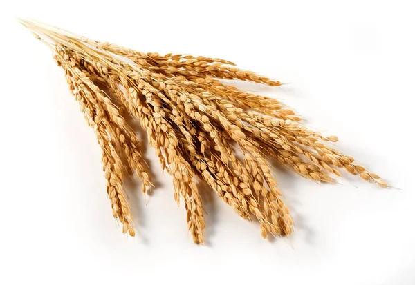 demet izole organik pirinç kulaklar