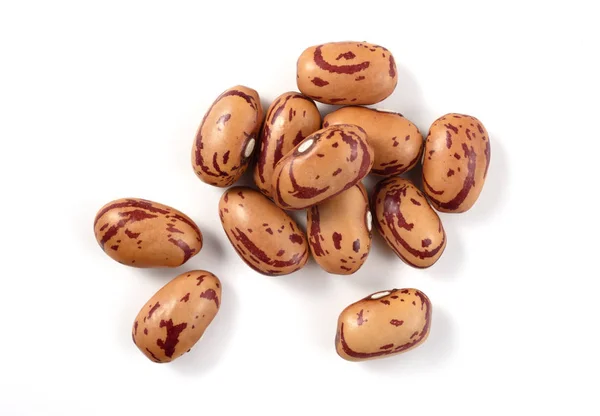 Spanish Bean Baneza Isolated — Stock Photo, Image
