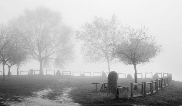 Park Mist Winter Pandscape — Stockfoto