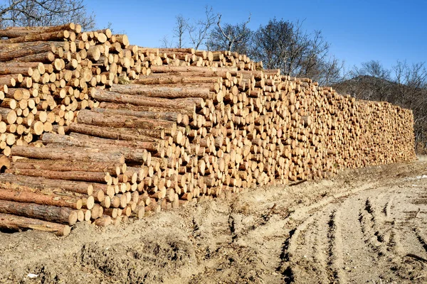 Gestapelde Grenen Houten Logboeken Aan Industriële Houtkap — Stockfoto