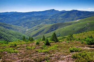 Sierra Demanda,Ezcaray,Rioja,İspanya