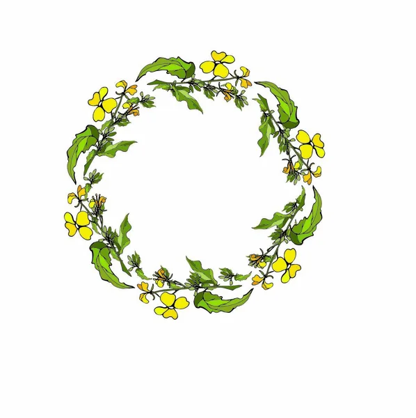 Wreath Yellow Flowers White Background Vector — Stock Vector