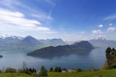 Luzern Gölü, çimen çiçek bahar sezonu ile Apls dağ manzaralı