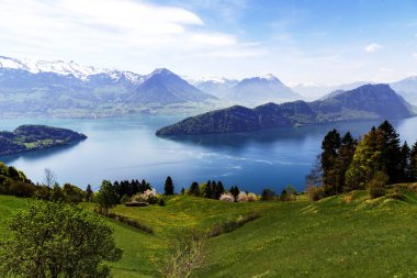 Luzern Gölü, çimen çiçek bahar sezonu ile Apls dağ manzaralı