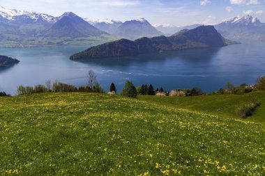 Luzern Gölü, çimen çiçek bahar sezonu ile Apls dağ manzaralı