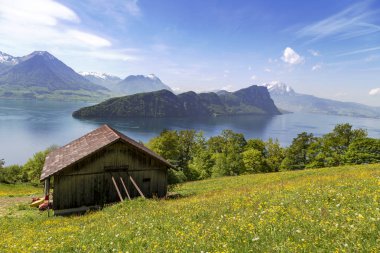 Çiçek, göl, dağ, kar, orman ve Rigi Kulm Luzern İsviçre gökyüzünden manzara görünümü