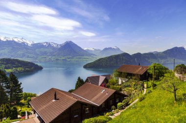 Çiçek, göl, dağ, kar, orman ve Rigi Kulm Luzern İsviçre gökyüzünden manzara görünümü