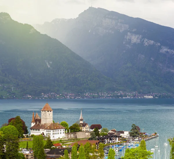 Spiez Starý Hrad Bern Švýcarsko Poblíž Thunské Jezero Hory — Stock fotografie