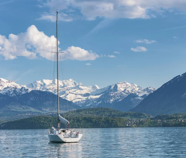Yelkenli tekneler limanda, Alpler Dağı bahar sezonu lake Thun (Thunersee) infornt