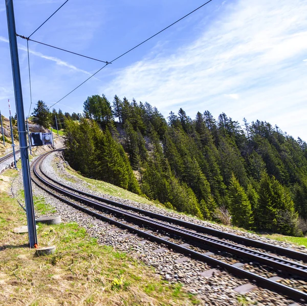 Rigi Bahn Elektrik Kablo Tramvaya Rigi Kulm Alp Dağ Bahn — Stok fotoğraf