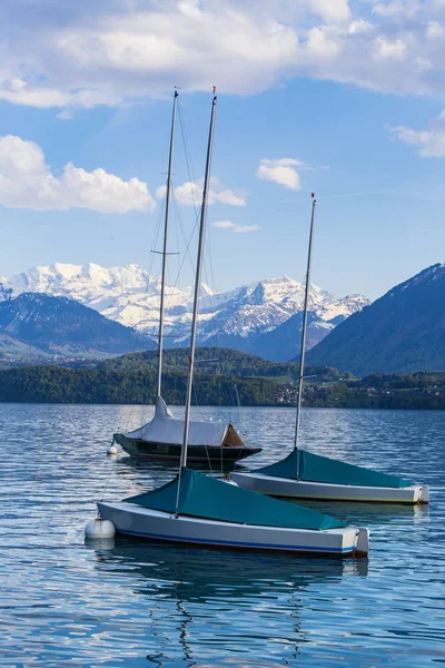 Yelkenli tekneler limanda, Alpler Dağı bahar sezonu lake Thun (Thunersee) infornt
