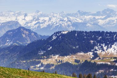 Gezgin Luzern İsviçre Avrupa Rigi kulm Alps kar dağ ve çam ağacı, peyzaj manzaralı doğa yürüyüşü