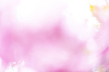 Doku renkten çiçek için arka plan bulanıklık