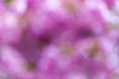 Doku renkten çiçek için arka plan bulanıklık