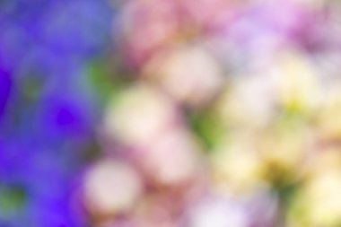 Doku renkten çiçek için arka plan bulanıklık