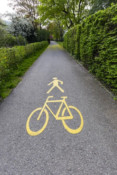 Parkta Egzersiz Yerel Yolda Insan Yürüyüş Bisiklet Kayıt — Stok fotoğraf