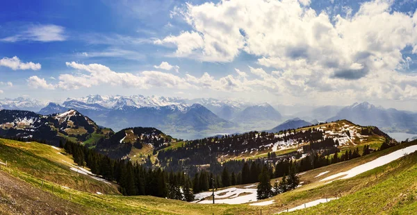 Landscape View Alps Snow Mountain Pine Tree Looking Rigi Kulm — Stock Photo, Image