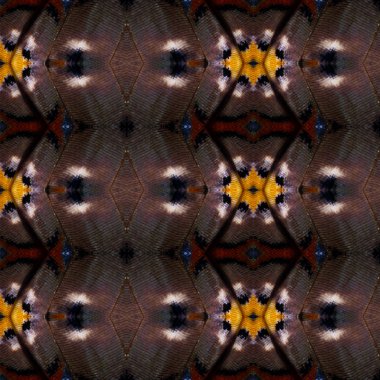 Dikişsiz desen renkli kelebek kanat arka plan doku, ortak bahadır için yapılan