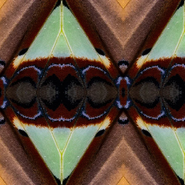 Vzor Bezešvé Barevné Motýlí Křídlo Pro Texturu Pozadí Společné Nawab — Stock fotografie