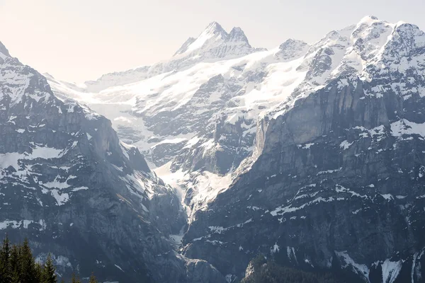 Три Вершины Горных Альп Видом Первый Пик Электрической Канатной Дороги — стоковое фото