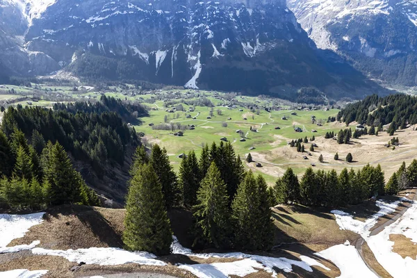 Häuser Kleinem Dorf Auf Den Bergalpen Grindelwald Erste Spitze Schweiz — Stockfoto
