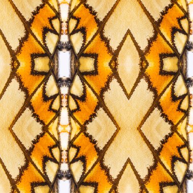 Dikişsiz desen renkli kelebek kanat ölçek için arka plan dokusu, sarı coster yapılmış