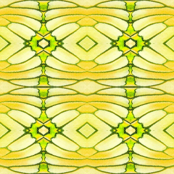 Nahtloses Muster Aus Bunten Schmetterlingsflügeln Für Die Hintergrundstruktur Gelb Coster — Stockfoto