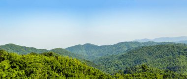Panorama landscape view of green trees on rain forest mountain i clipart
