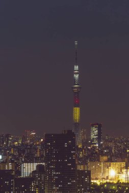 Tokyo skytree kulede Janpan gecede brigde ve bui ile ışık