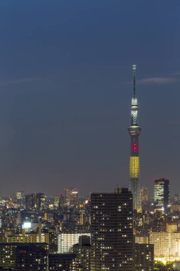 Tokyo skytree kulede Janpan gecede brigde ve bui ile ışık