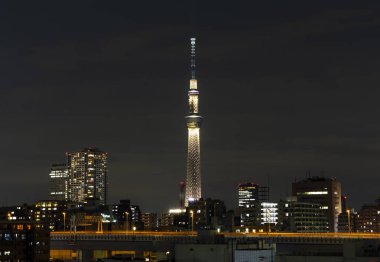 Tokyo skytree kulede Janpan gecede brigde ve bui ile ışık