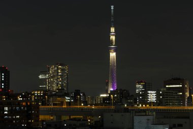 Tokyo skytree kulede Janpan gecede brigde ve bui ile ışık