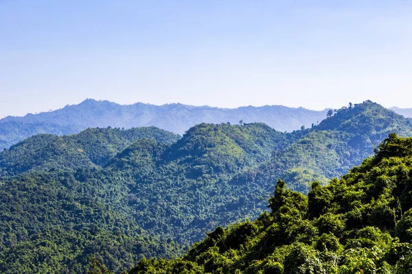 Thailan yağmur ormanı dağda bir yeşil ağaç manzaralı — Stok fotoğraf