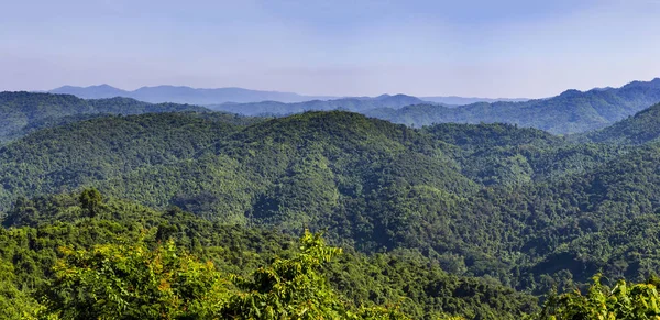 Panorama vista del paisaje de árboles verdes en la selva tropical montaña i —  Fotos de Stock