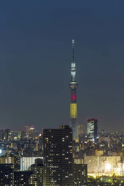 Tokyo skytree kulede Janpan gecede brigde ve bui ile ışık