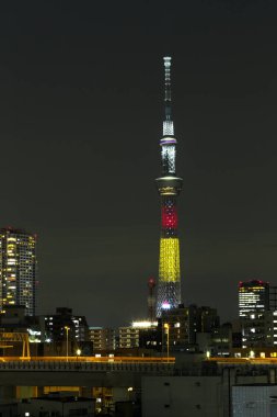 Tokyo skytree kulede Janpan gecede brigde ve bui ile ışık