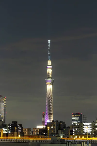 东京天树塔在1月在夜的光与布里格德和 bui — 图库照片