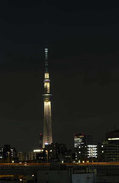 Tokyo skytree tower i Janpan i natt ljus med brigde och bui — Stockfoto
