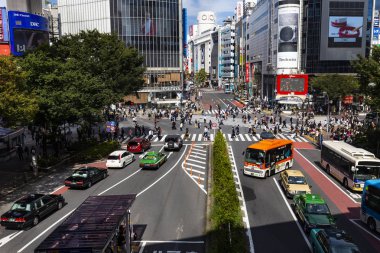 Shibuya, Tokyo, Japonya - 12 Ekim 2016: Shibuya sahne büyük kapış geçiş alanı yukarıdan yaz sezonu