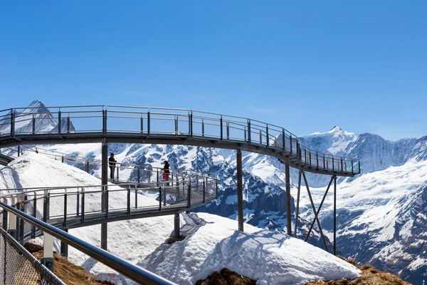 Grindelwald Berne Switzerland Kwiecień Podróżujący Spacerują Klifie Pierwszym Szczycie Alp — Zdjęcie stockowe