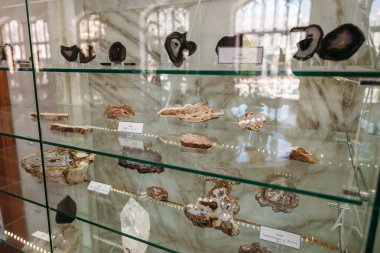 Kislovodsk, Stavropol bölge / Rusya - 1 Mayıs 2018: fosil 